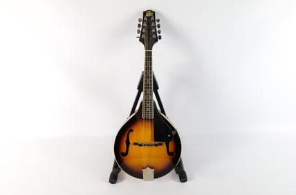 Rogue Eight String Mandolin
