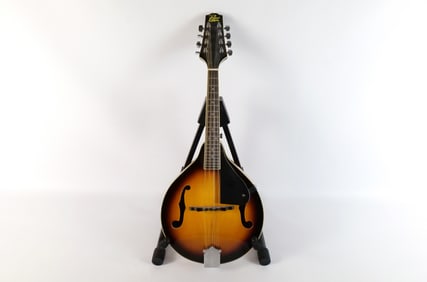 Rogue Eight String Mandolin