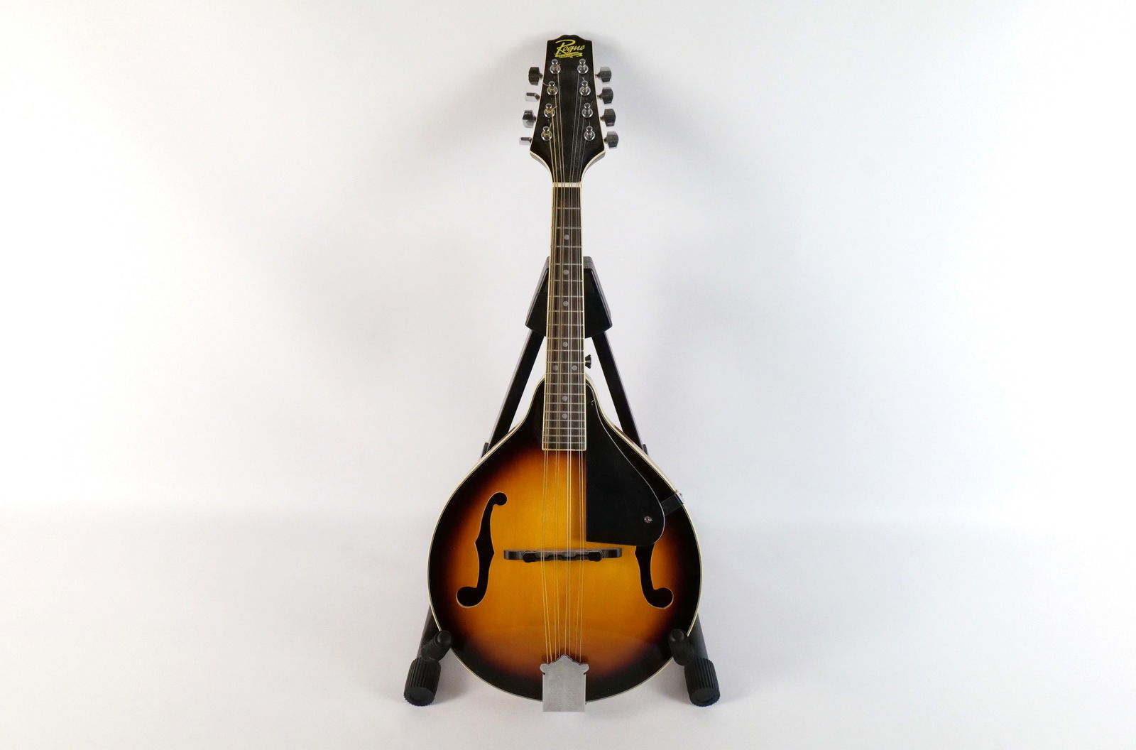 Rogue Eight String Mandolin (1 of 18)