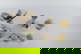 item-203907097=10
