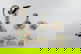 item-203907097=6