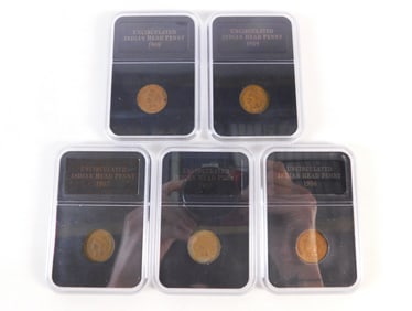 Group of Indian Head Pennies