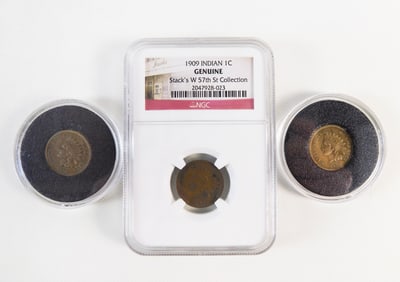 Group of Indian Head Pennies
