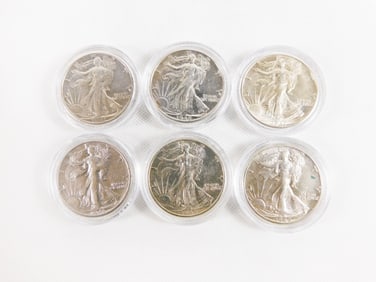 Group of Walking Liberty Half Dollars