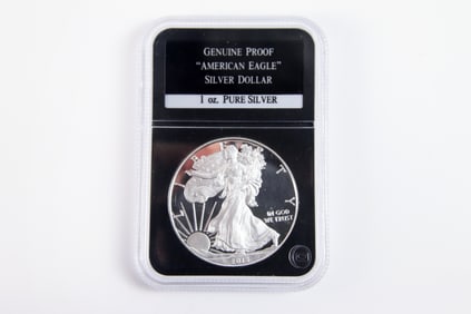 2013 Proof Silver Eagle $1