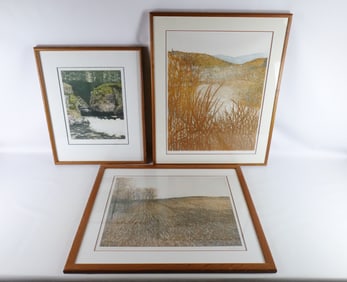 Group Lot of 3 Lithographs
