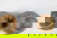 item-207251712=12