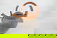 item-207251712=13