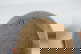 item-207251712=14