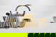 item-207251717=1