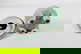 item-207251718=14