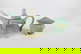 item-207251718=1