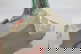 item-207251718=8