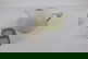 item-207251719=18