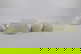 item-207251719=3