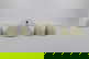 item-207251719=4