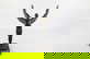 item-207251791=1