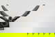 item-207251791=5