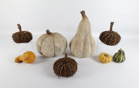 Lot of Fall Decorations