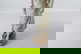 item-208805947=12