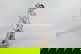 item-208805947=14
