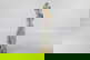 item-208805947=3