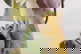 item-208805948=11