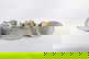 item-208805948=6