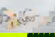 item-208805951=7
