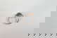 item-209091955=13
