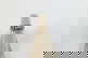 item-209091955=16