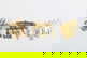item-209091956=5