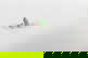 item-209092006=11