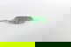 item-209092006=7