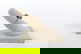 item-209092081=4