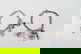 item-209092190=2