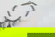 item-209092190=6