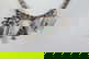 item-209092190=7