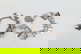 item-209092191=2