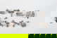 item-209092201=1