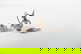 item-209092201=4