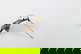 item-209092212=3