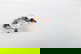 item-209092212=5