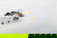 item-209092212=7
