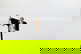 item-209092240=2