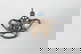 item-209092324=6