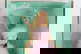 item-209921043=12