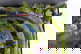 item-209921386=5