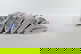item-209921390=6