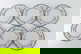 item-210509760=10